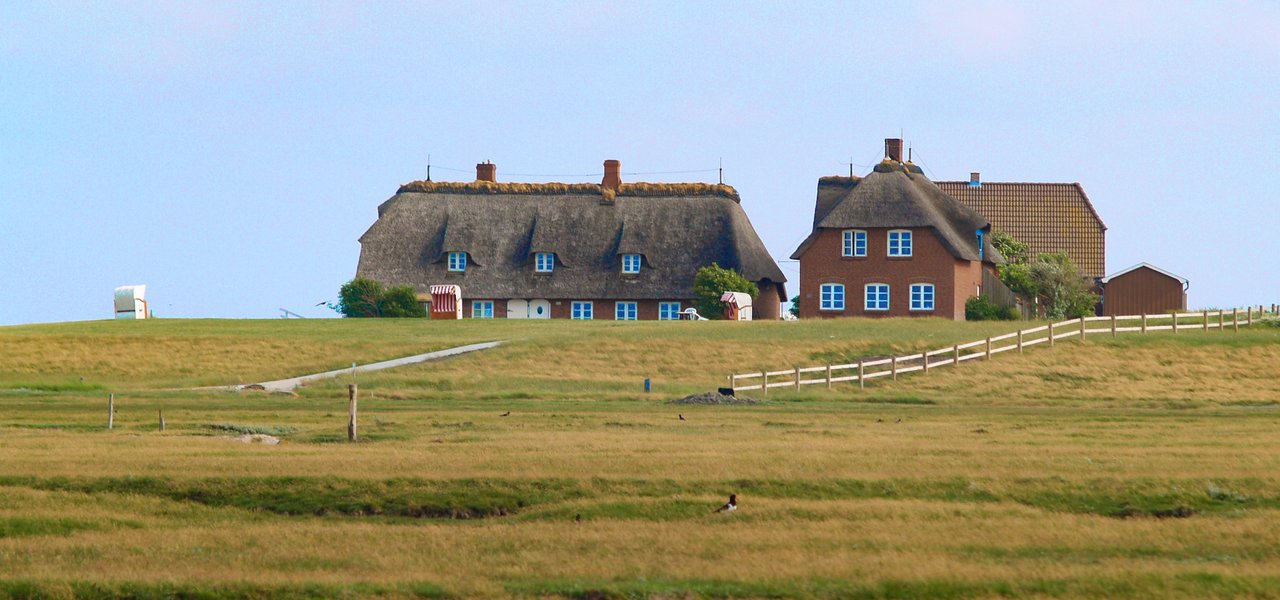 Mitteltritt