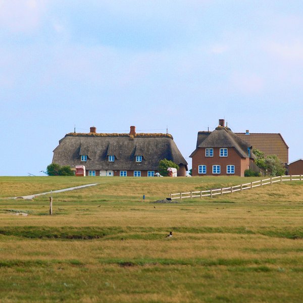 Mitteltritt
