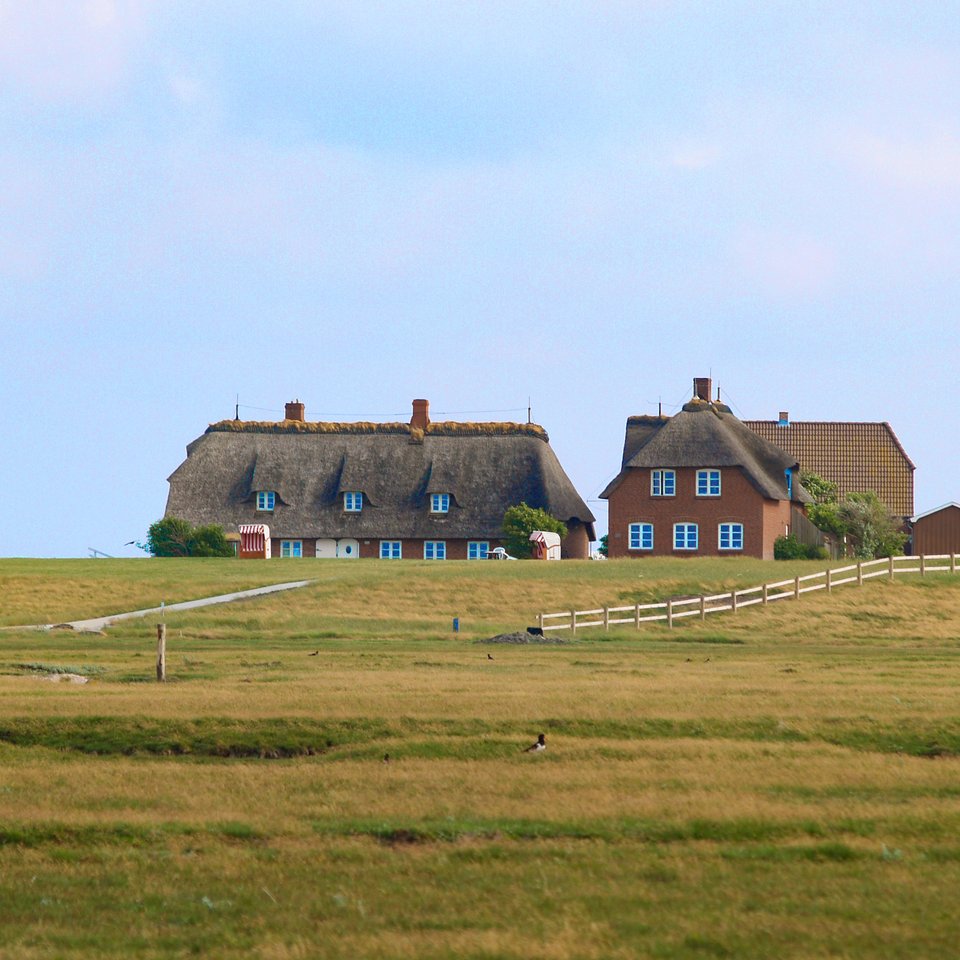 Mitteltritt