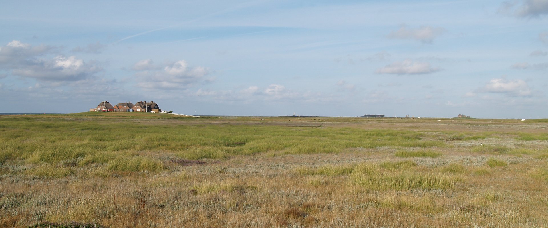 Blick über die Hallig mit Westerwarft, Ipkenswarft und Volkertswarft