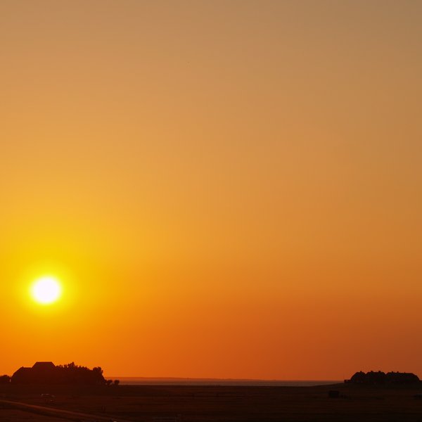 P7018793