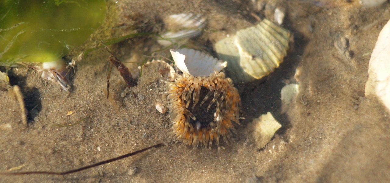 P7029021