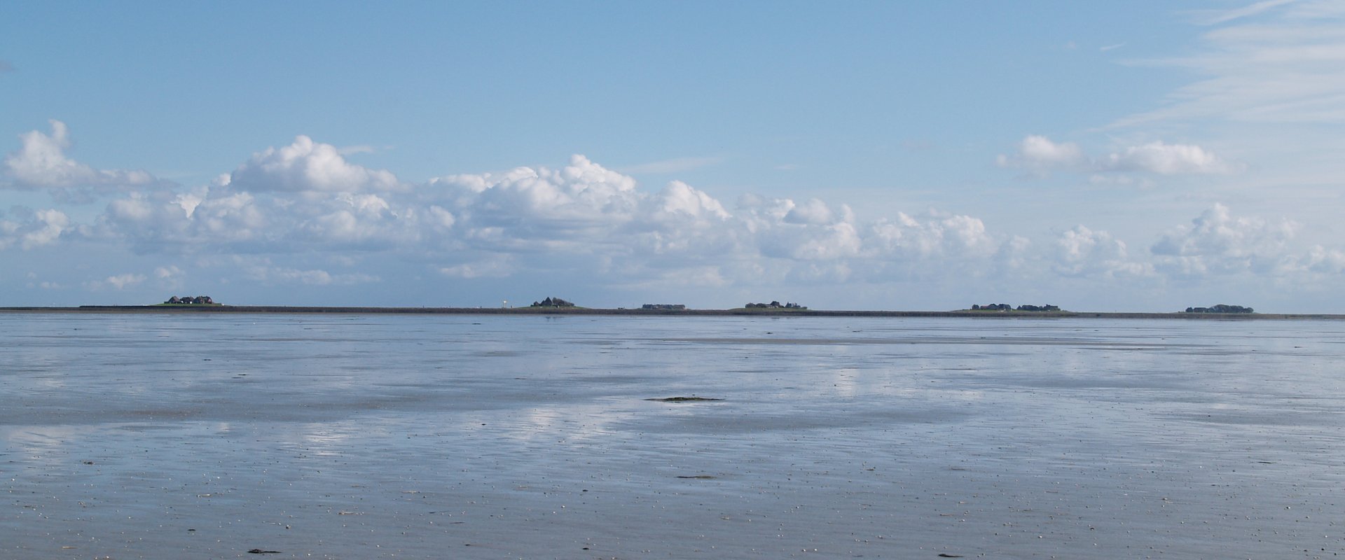 Blick ins Watt mit der Hallig im Hintergrund