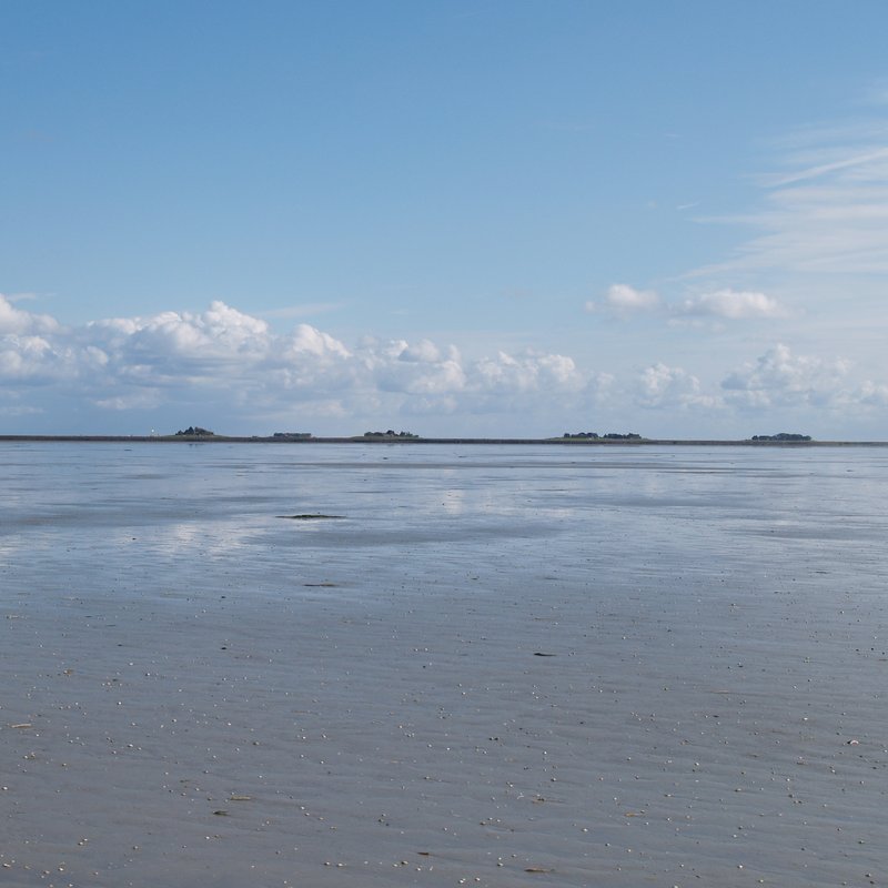 Blick ins Watt mit der Hallig im Hintergrund