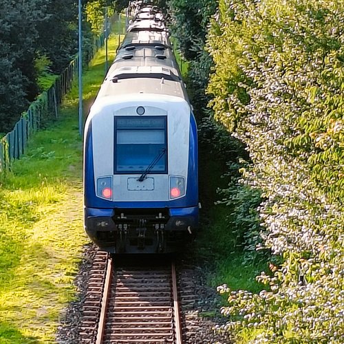 Zug