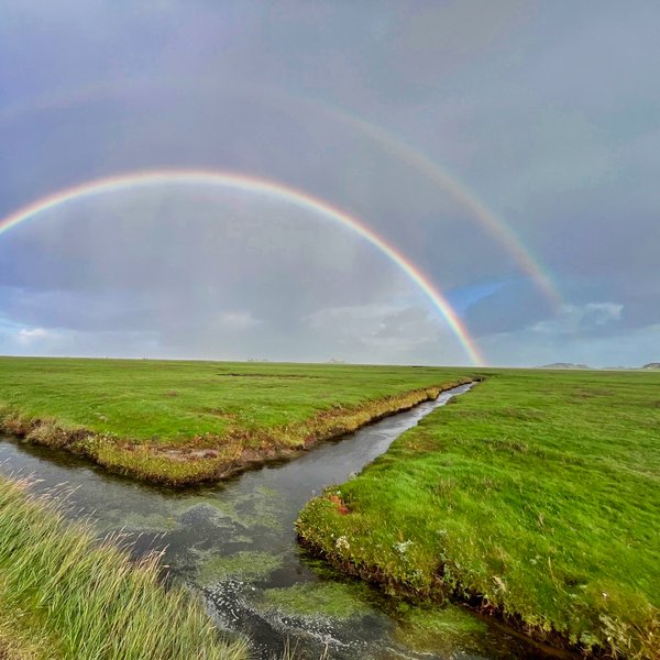 Blick über die Hallig mit doppeltem Regenbogen